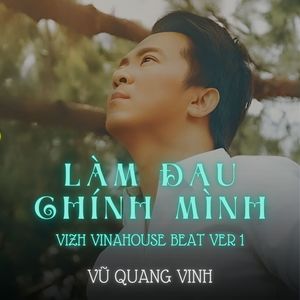 Làm Đau Chính Mình (Vizh Vinahosue Beat Version 1)