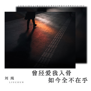 曾经爱我入骨如今全不在乎-刘纯