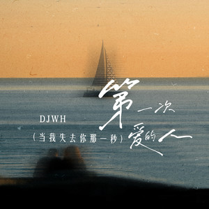 第一次爱的人 (当我失去你那一秒)-DJWH