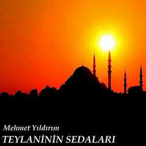 Teylaninin Sedaları