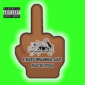 I Just Wanna Say **** You (Explicit)