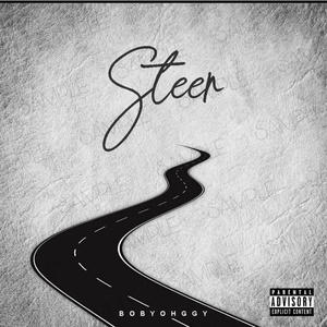 STEER