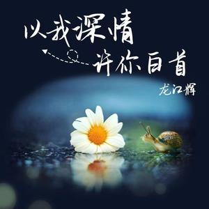 以我深情许你白首