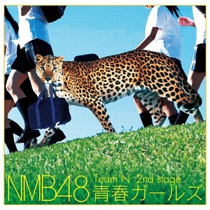 NMB48 Team N - ふしだらな夏