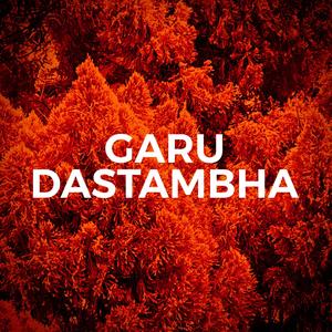 Dastambha