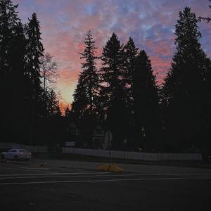 scars (Explicit)