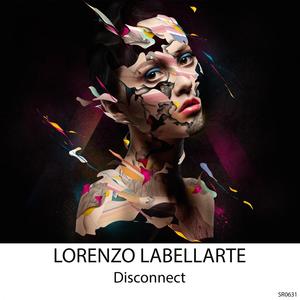 Disconnect (Original Mix)