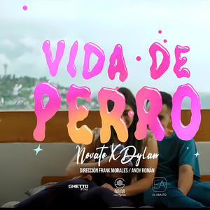 Vida de Perro (feat. NOVATO & Mattyw j Matt)