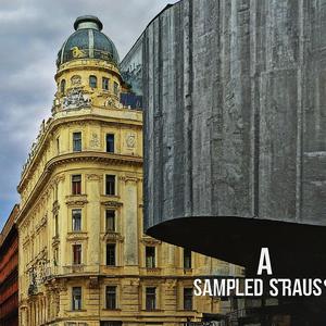 A SAMPLED' STRAUSS