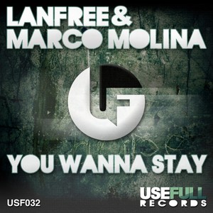 You Wanna Stay (Original Club Mix)