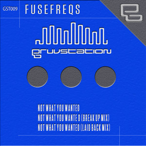 Not What You Wanted (Break Up Mix)