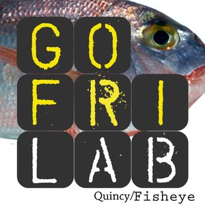 Gofrilab - Fisheye (Gofrilab Remix)