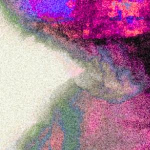 Molly In Holly (Explicit)