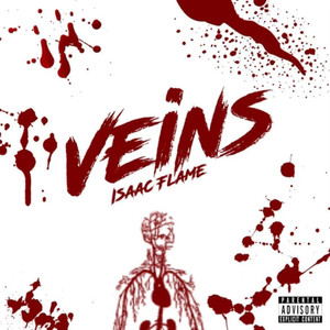 VEINS (Explicit)
