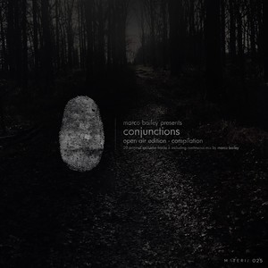 Never Found Peace (Original Mix)