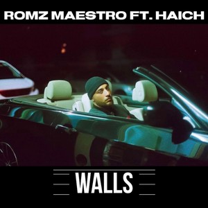 Walls (feat. HaicH) [Explicit]