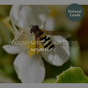 Cooling Mint of Rain Drops - Nature Music