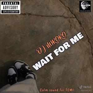 WAIT FOR ME (calm sound for Temi)