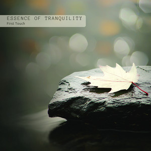 Essence of Tranquility