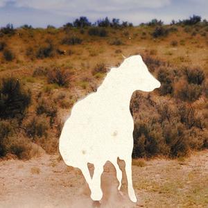 Wildhorse