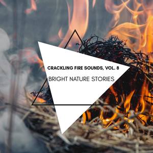 Bright Nature Stories - Crackling Fire Sounds, Vol. 8