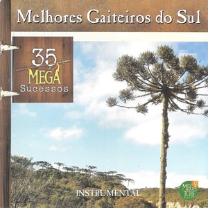 Melhores Gaiteiros do Sul