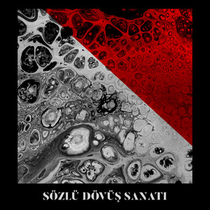 Sözlü Dövüş Sanatı (Explicit)