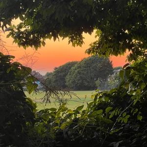 fairytale (feat. wraithslostcity) (sped up) (Explicit)