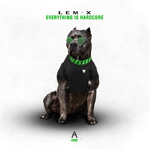 Everything Is Hardcore (Explicit)