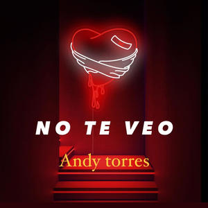 NO TE VEO