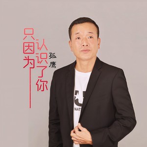 只因为认识了你