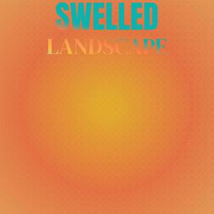 Swelled Landscape