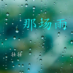 那场雨