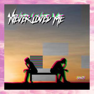 Never Loved Me