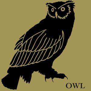 Owl (VIP Edit)