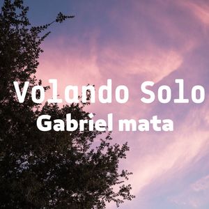 Volando solo