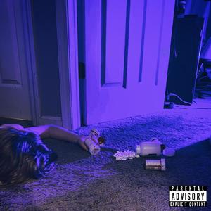 The 90210(feat. Darvo) (Explicit)