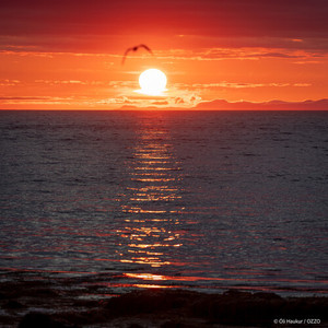 Þú komst um kvöld