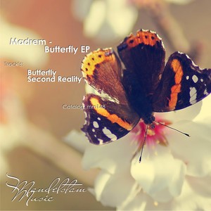 Second Reality (Original Mix)