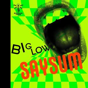 SAYSUM (Explicit)