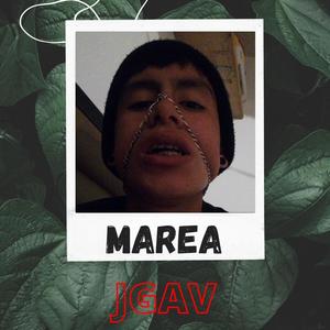 Marea