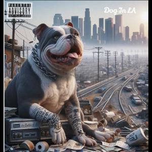 Dog In LA (Explicit)