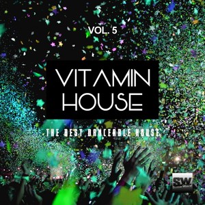 Vitamin House, Vol. 5 (The Best Danceable House)