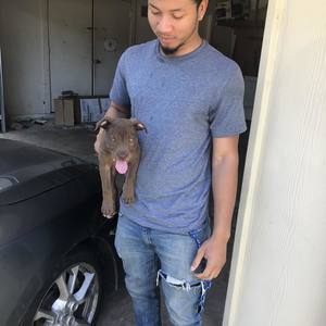 Pearly Wok (Explicit)