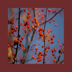 Her Beaty (Original Mix)