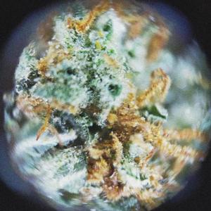 Übersee(feat. kiramisu & Gourmet)