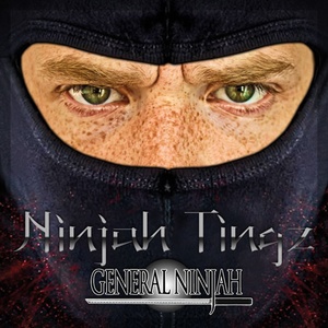 Ninjah Tingz