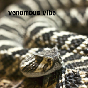 Venomous Vibe