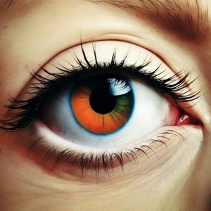 Кабель (Diss Alexandr Mers|Explicit)