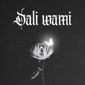 Dali Wami